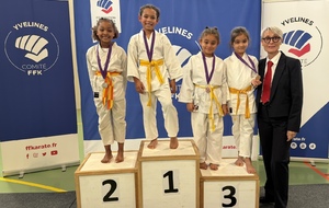 COUPE DES YVELINES COMBAT